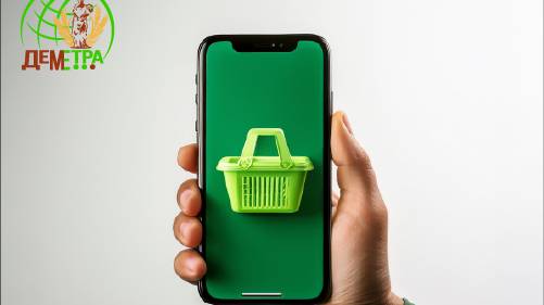 Оформление заказа на сайте с мобильного телефона