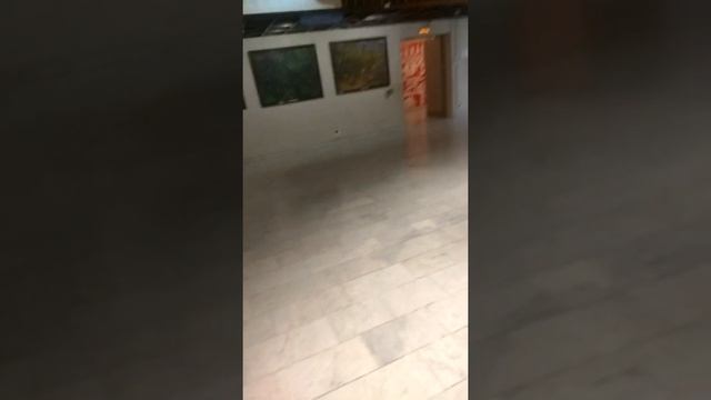 ВИДЕО ИЗ МУЗЕЯ С РаЗнЫмИ ЖИвотнымИ