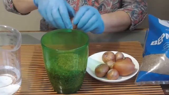 Выращивание зеленого лука на подоконнике - просто ,удобно (проверено) смотреть онлайн