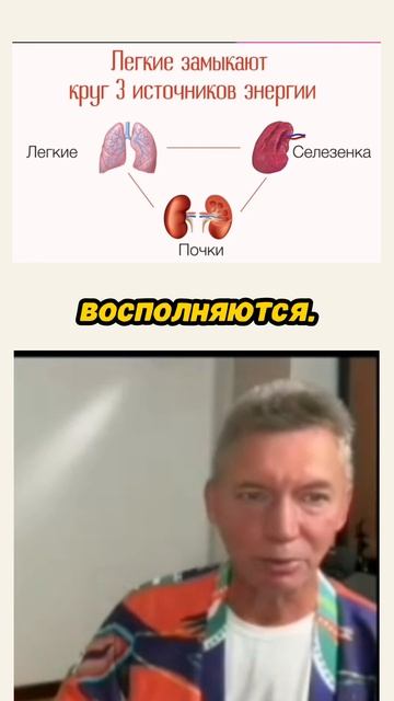 Непредсказуемая угроза голод почек смотреть онлайн