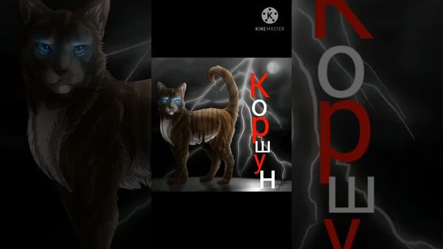 Топ-4 пары братьев •коты-воители• смотреть онлайн