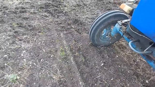 Трактор Т 40 самодельный дискатор за 20 тыс рублей смотреть онлайн