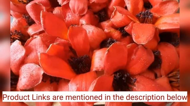 Bombax Ceiba- Marvelous Health Benefits-You should not miss||Silk cotton tree-Flower,Bark,Gum||L-10 смотреть онлайн
