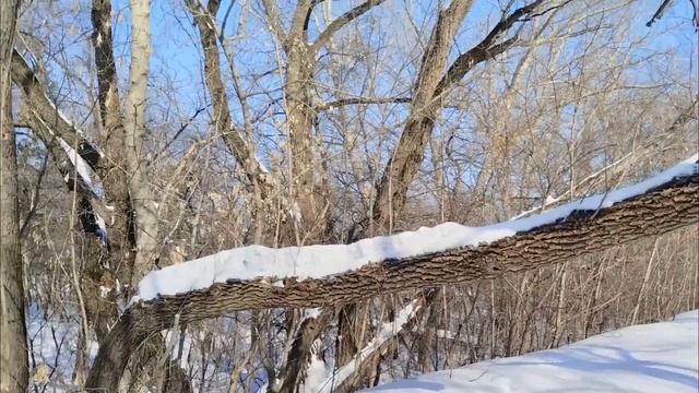 Тропа смотреть онлайн