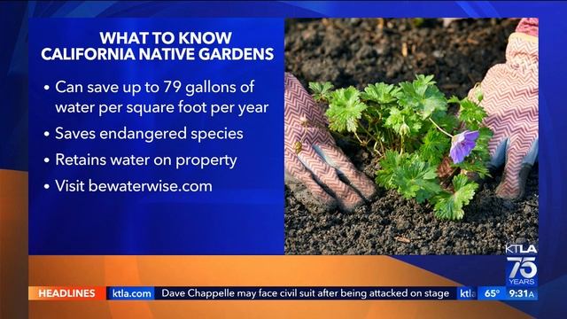 Drought resilient gardens highlighted during Orange County tour