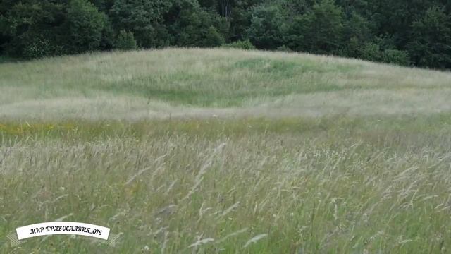 Начинай день с молитвы вместе с Оптиной смотреть онлайн