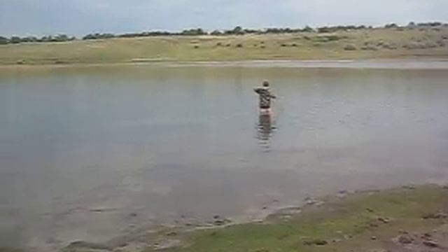 карп 3.400г. в кастештах