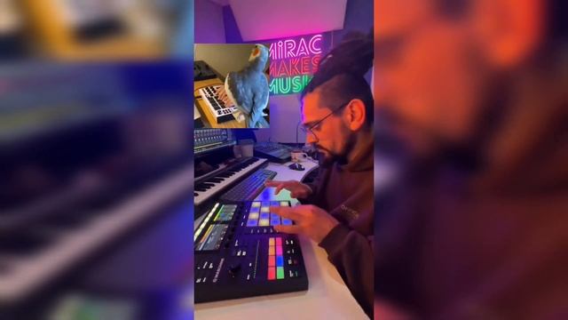 Mirac - Papağan İle Düet Mi? Vol.2 @MiracOnline | Anonim Beats