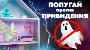 Попугай против привидения