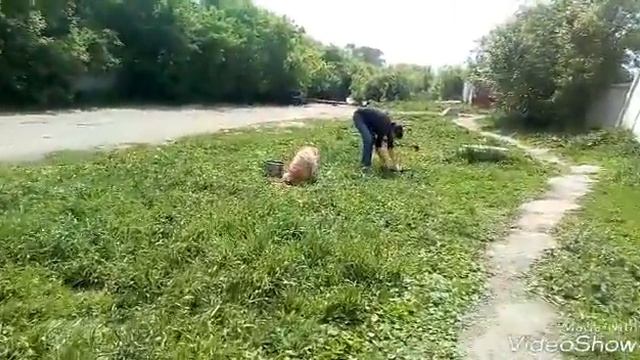 Келли смотреть онлайн