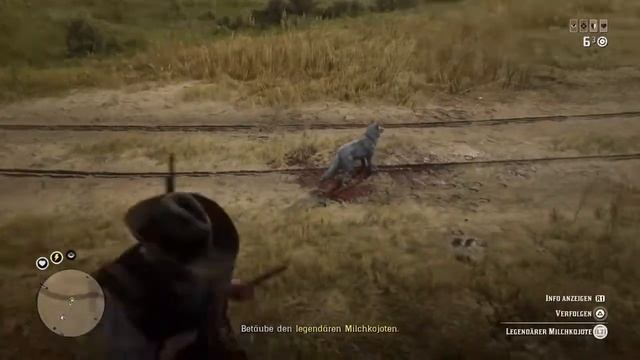 Red Dead Online - Legendary GodMode Coyote смотреть онлайн