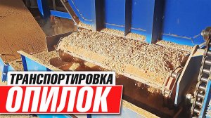 Скребковый транспортер с бункером для опила и щепы в реальной работе