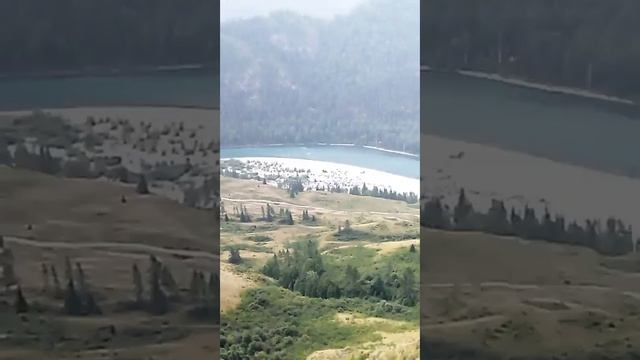 23 августа 2021 г.