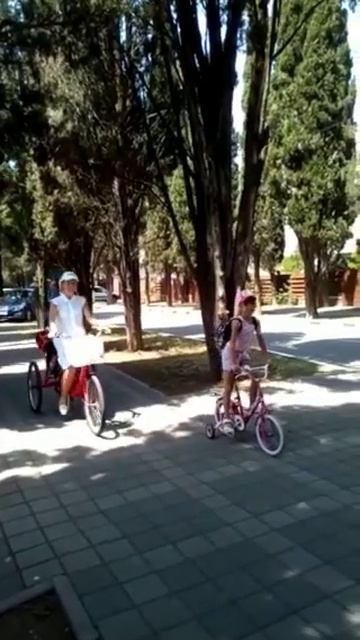 Что будет,если в рационе мало белков? смотреть онлайн