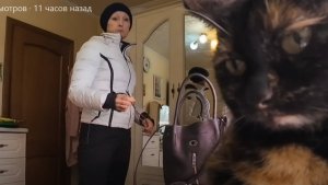 Начало марта 2025 года. Постный ужин. Алиска на шее. Последний посев петунии...