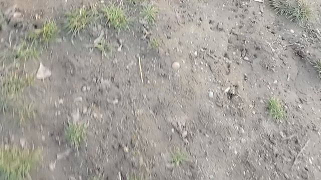я нашёл Загадочный мяч в школе смотреть онлайн