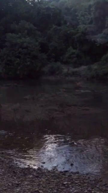 #peaceful #godspresence #paddling смотреть онлайн