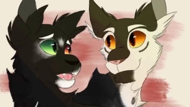 Warrior Cats - Ravenpaw X Barley Mini Tribute - 7 Years.