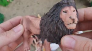 Обучение для детей! Львы, слоны, куры, лошади, зебры, тигры, осьминоги - Животные