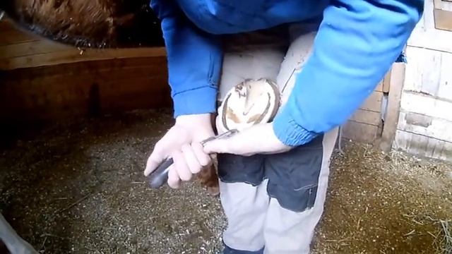 Коваль, расчистка и наша болтовня:)  Koval, clearing and our chatter:)