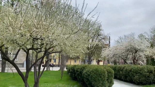 Пасхальний Кременчук. Христос Воскрес! 16.04.2023