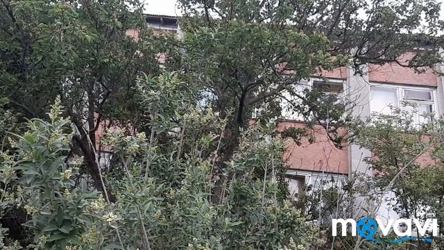 ПЕСНЯ СОЛОВЬЯ