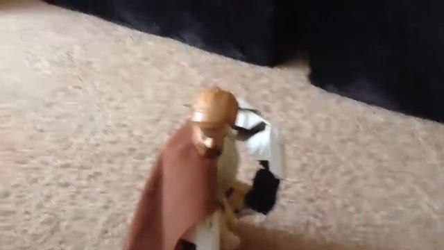 Жопа