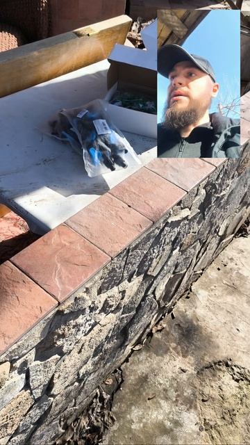 Вот вот начну черенковать хвойные 🥳 Сезон открыт🫶 смотреть онлайн