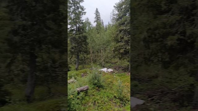 Терский берег 2024 ч.5