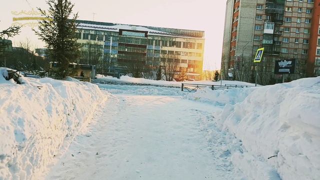 Воркута. 09.03. 25. Утренняя прогулка. смотреть онлайн