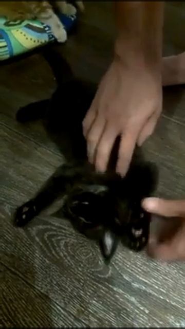 11741398 926160330760871 1455551479 n смотреть онлайн