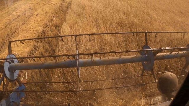 Три дня битва за урожай, а потом опять зима... смотреть онлайн