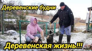 ПРИШЛИ МОРОЗЫ | Прибираем все во дворе | Дом в деревне | Деревенские будни