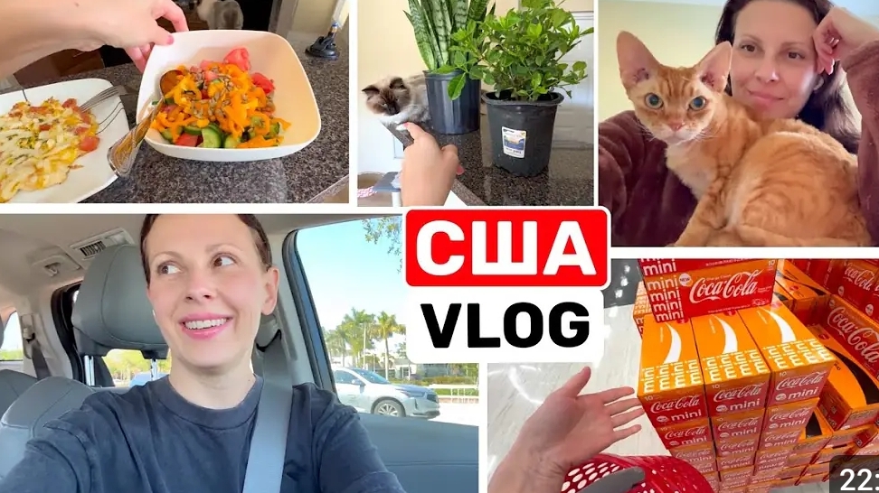 США ВЛОГ С ПРАЗДНИКОМ! Всегда есть за что похвалить! Душещипательная история смотреть онлайн