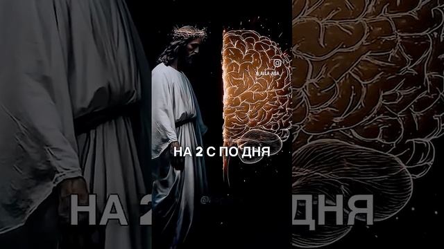 Бог создал Нас. Наука про. смотреть онлайн