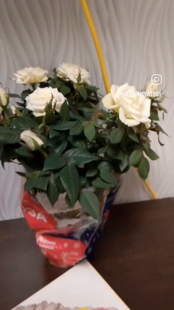 Торт на праздник 🎂🥰 смотреть онлайн