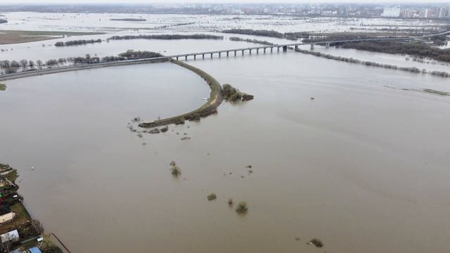 Ока, разлив, с. Шумашь, 2022 смотреть онлайн