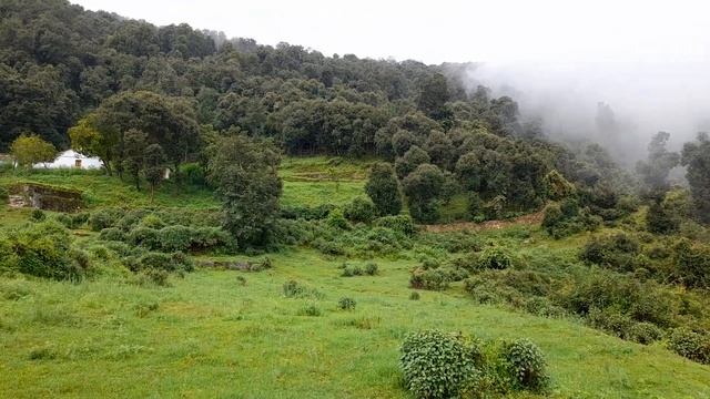 Agricultural/ Residential Land Near Ranikhet. call @ 9997362487. ideal land for resort hotel. смотреть онлайн