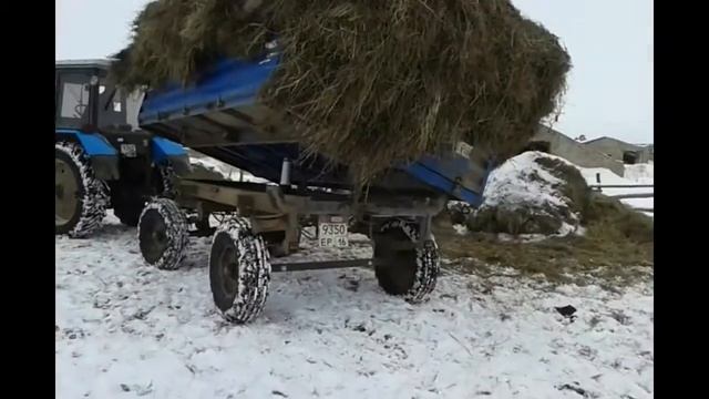 Вывозим сено на тракторе МТЗ 82 смотреть онлайн