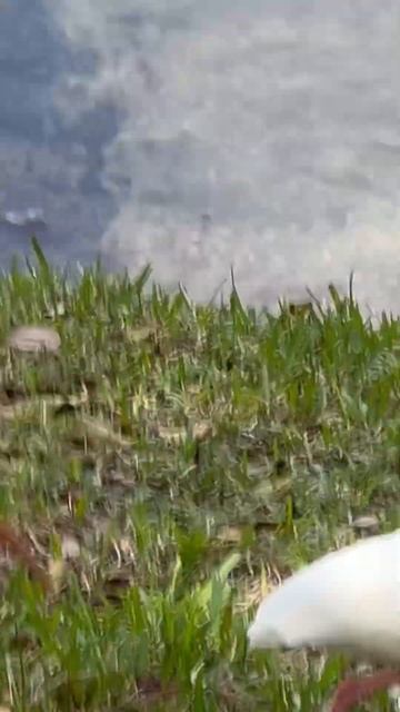 I MADE THIS WHILE I WAS ASLEEP😭😭😭?!! смотреть онлайн