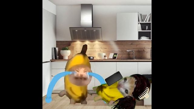 BANANA CAT 🍌🐱 HAPPY AND 😿 CRY ( 11 MINUTES ) VIDEOS 49 #catmemes #cat #bananacat #happycats #fyp