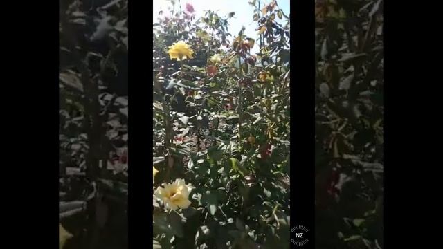 Крымское Приморье. смотреть онлайн