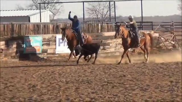 KIDS HEEL HORSE FOR SALE смотреть онлайн
