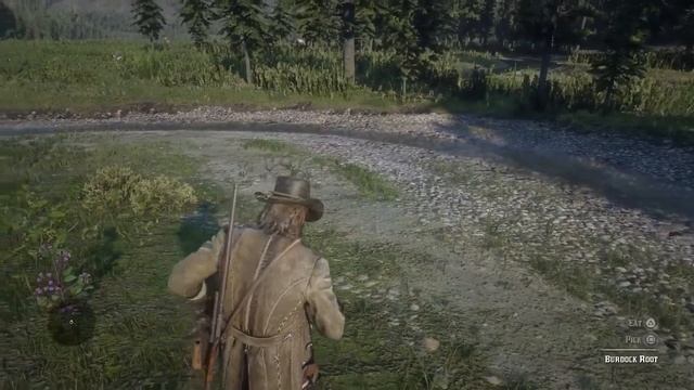 Special Miracle Tonic (needed For Herbalist 7) - Recipe Pamphlet Location [RDRII]