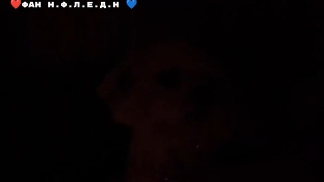 Момо приследует сладуна кеву и били😱вызвали момо на даче в картоном доме ( перезалив)