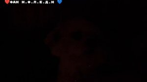 Момо приследует сладуна кеву и били😱вызвали момо на даче в картоном доме ( перезалив)