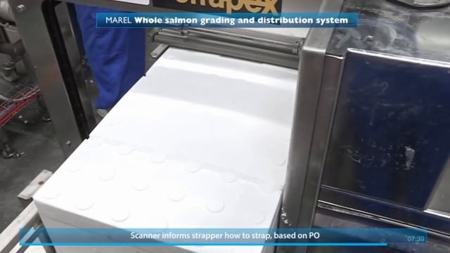 Intelligent Technology Smart Farming FISH & EGGS Processing Machines Food Manufacturing Factory 201 смотреть онлайн