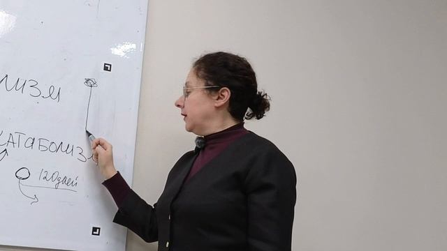 метаболические основы нутрициологии смотреть онлайн