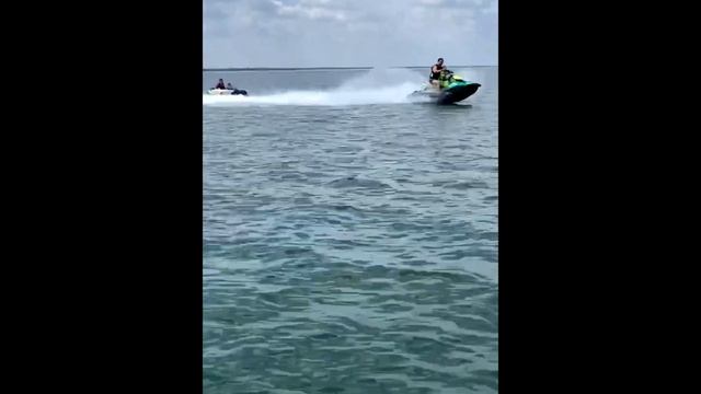 Море волнуется-раз! Где мои плавки? смотреть онлайн