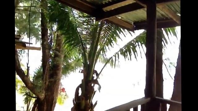 Tiger Hut bungalow TDF @LAristopazzo Koh Chang Thailand смотреть онлайн